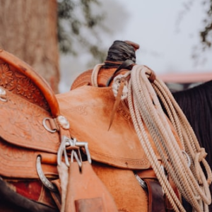 Faith-Based Horse Riding Journal