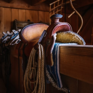 Inspirational Equestrian Wall Art