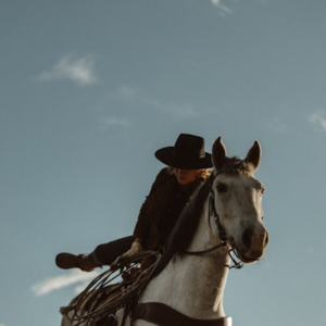 Gifts for Horse Lovers Gift Box